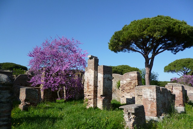 OSTIA ANTICA CASTELLI ROMANI CERVETERI E GIARDINO DI NINFA Fontana