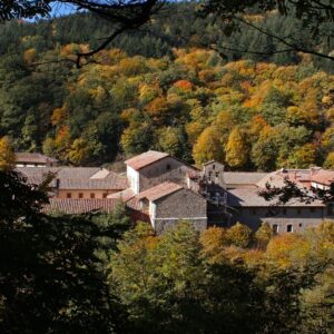 FORESTE CASENTINESI
