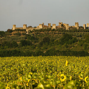 MONTERIGGIONI