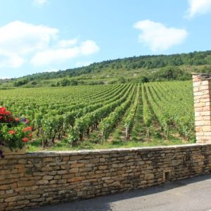 GRAN TOUR DELLA BORGOGNA