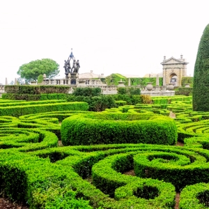 LA TUSCIA VITERBESE E I SUOI GIARDINI STORICI