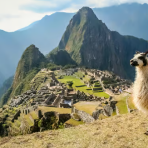 PERU'